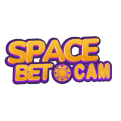 large print sudoku books
